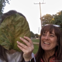 Face-sized leaf?!
